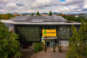 Reptilium Terrarien- und Wüstenzoo Landau